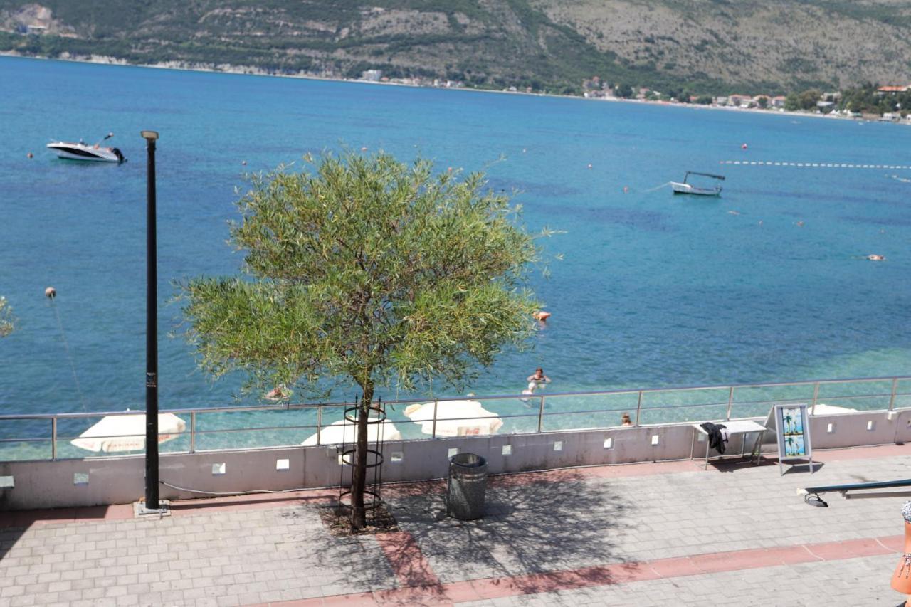 Apartments Cebra Herceg Novi Dış mekan fotoğraf